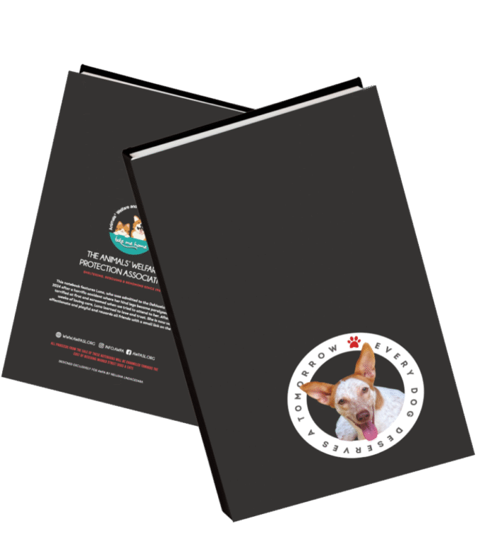 Paw Pads: Cute, Clever, and Conscious