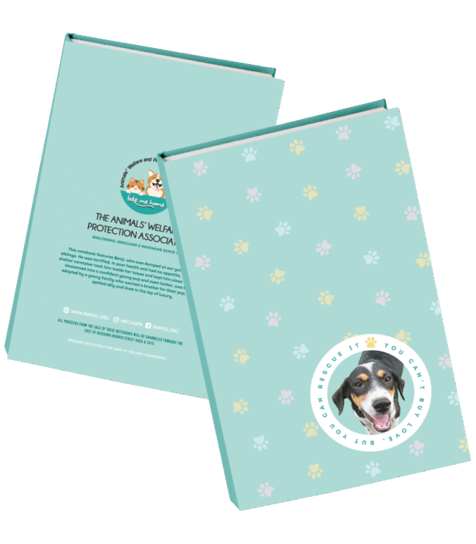 Paw Pads: Cute, Clever, and Conscious