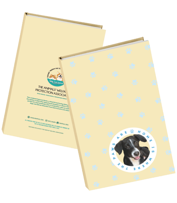 Paw Pads: Cute, Clever, and Conscious