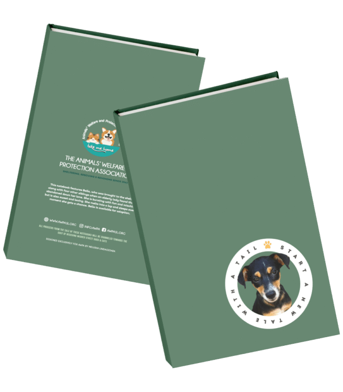 Paw Pads: Cute, Clever, and Conscious