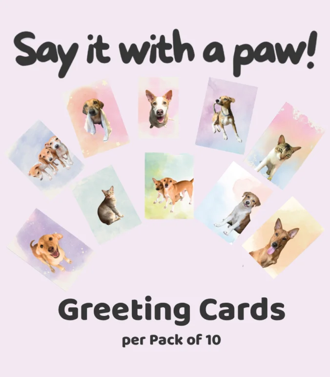 Greeting Cards Pack of 10